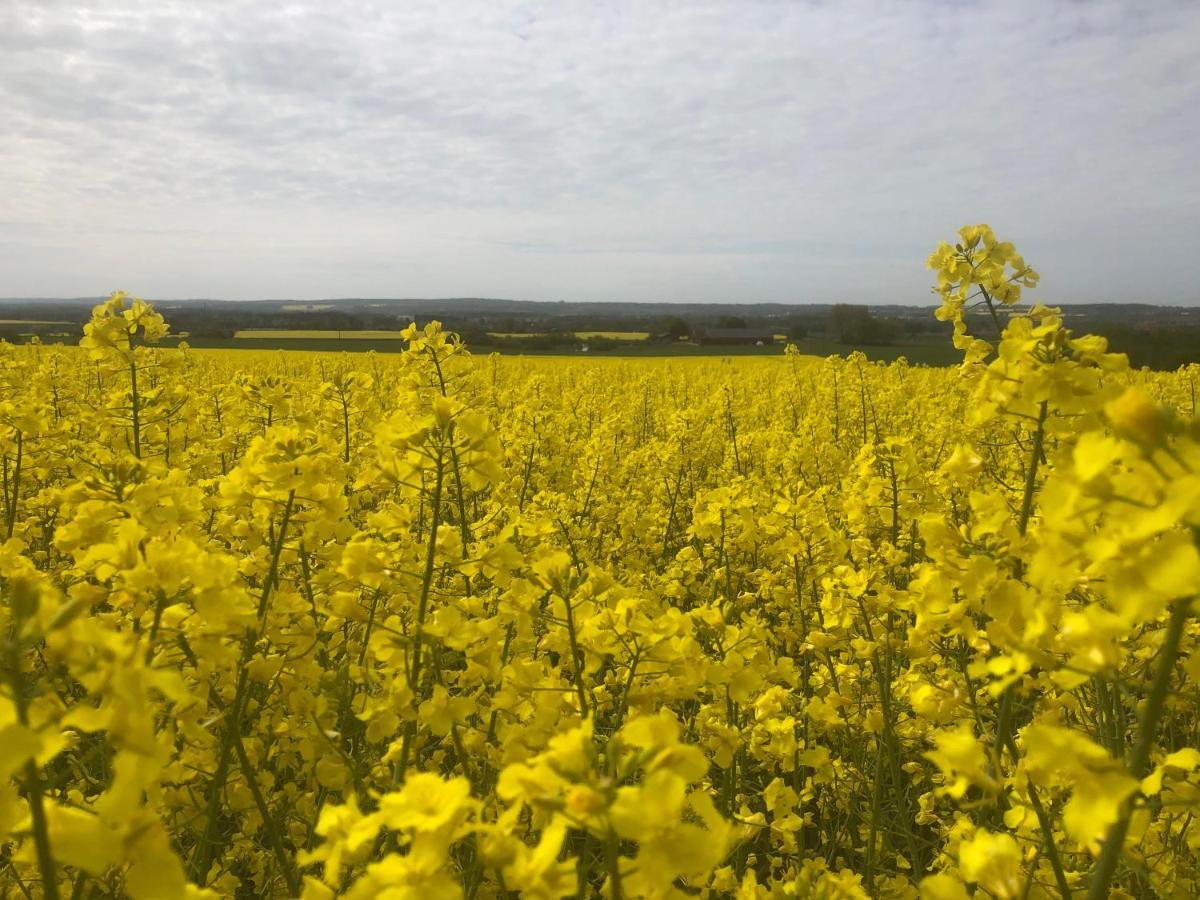 Rosloevs Gard Vackert Boende I En Naturskoen Miljoe. Flyinge Экстерьер фото