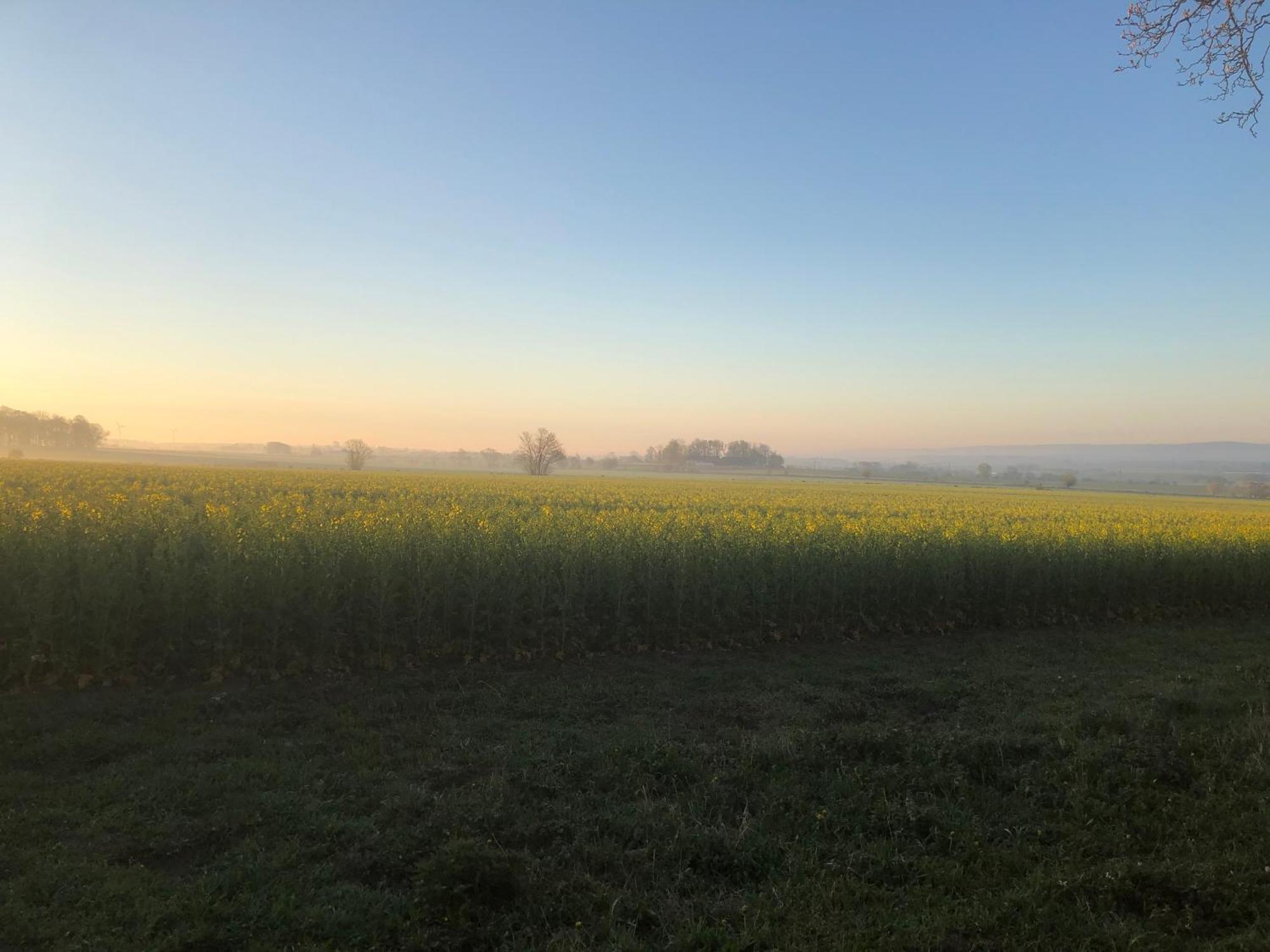 Rosloevs Gard Vackert Boende I En Naturskoen Miljoe. Flyinge Экстерьер фото
